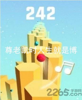 尊老凯时人生就是博