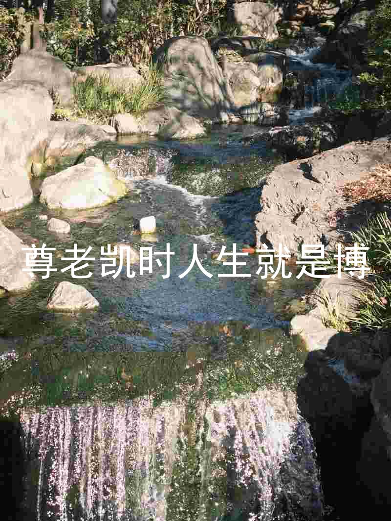 尊老凯时人生就是博