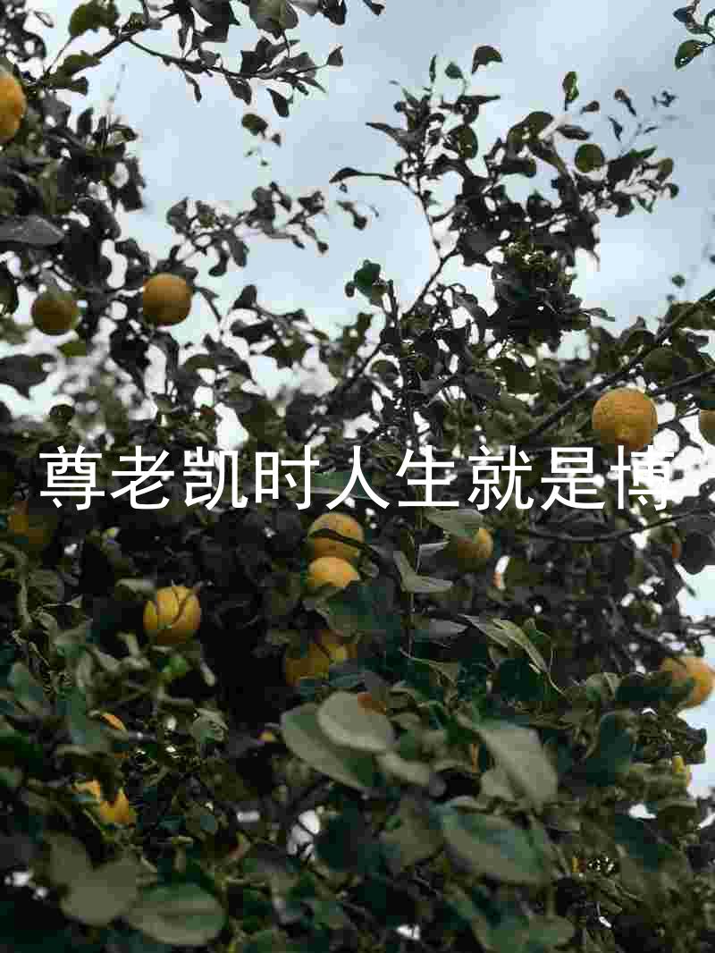 尊老凯时人生就是博