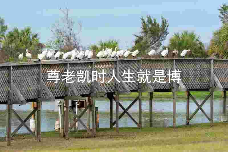 尊老凯时人生就是博