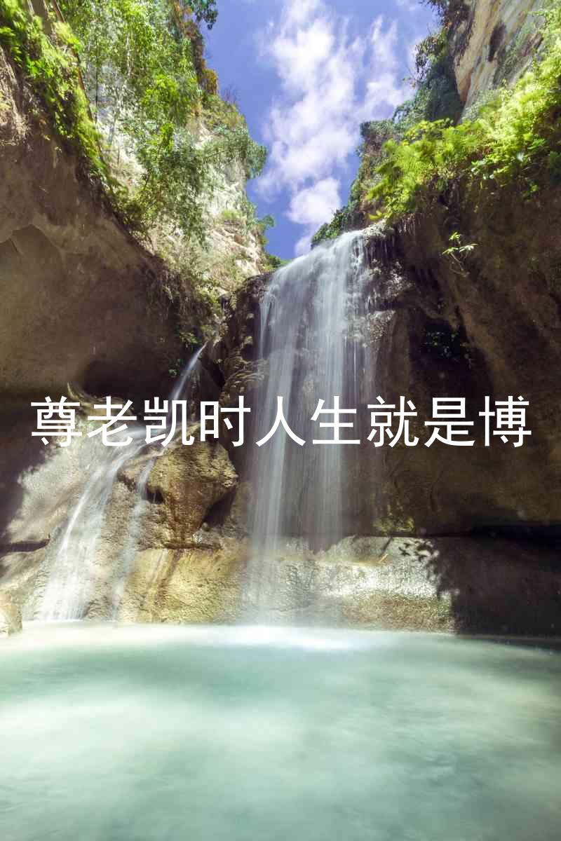 尊老凯时人生就是博
