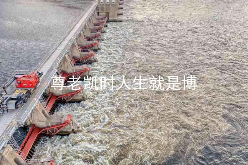 尊老凯时人生就是博