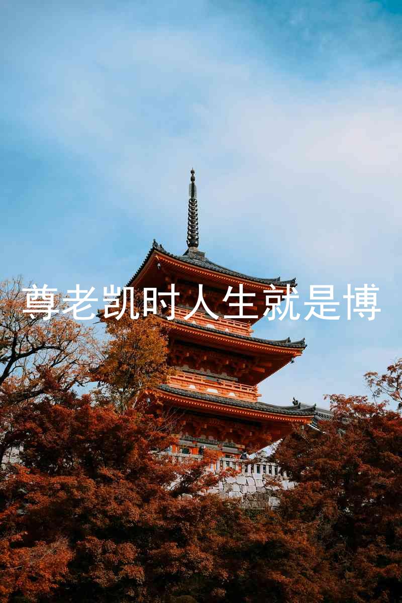 尊老凯时人生就是博